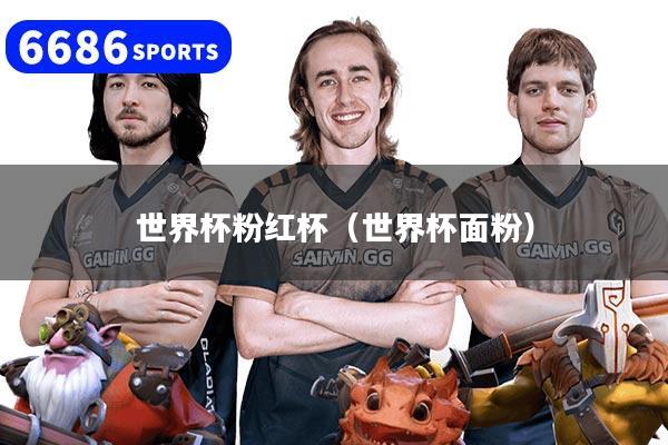 世界杯粉红杯（世界杯面粉）